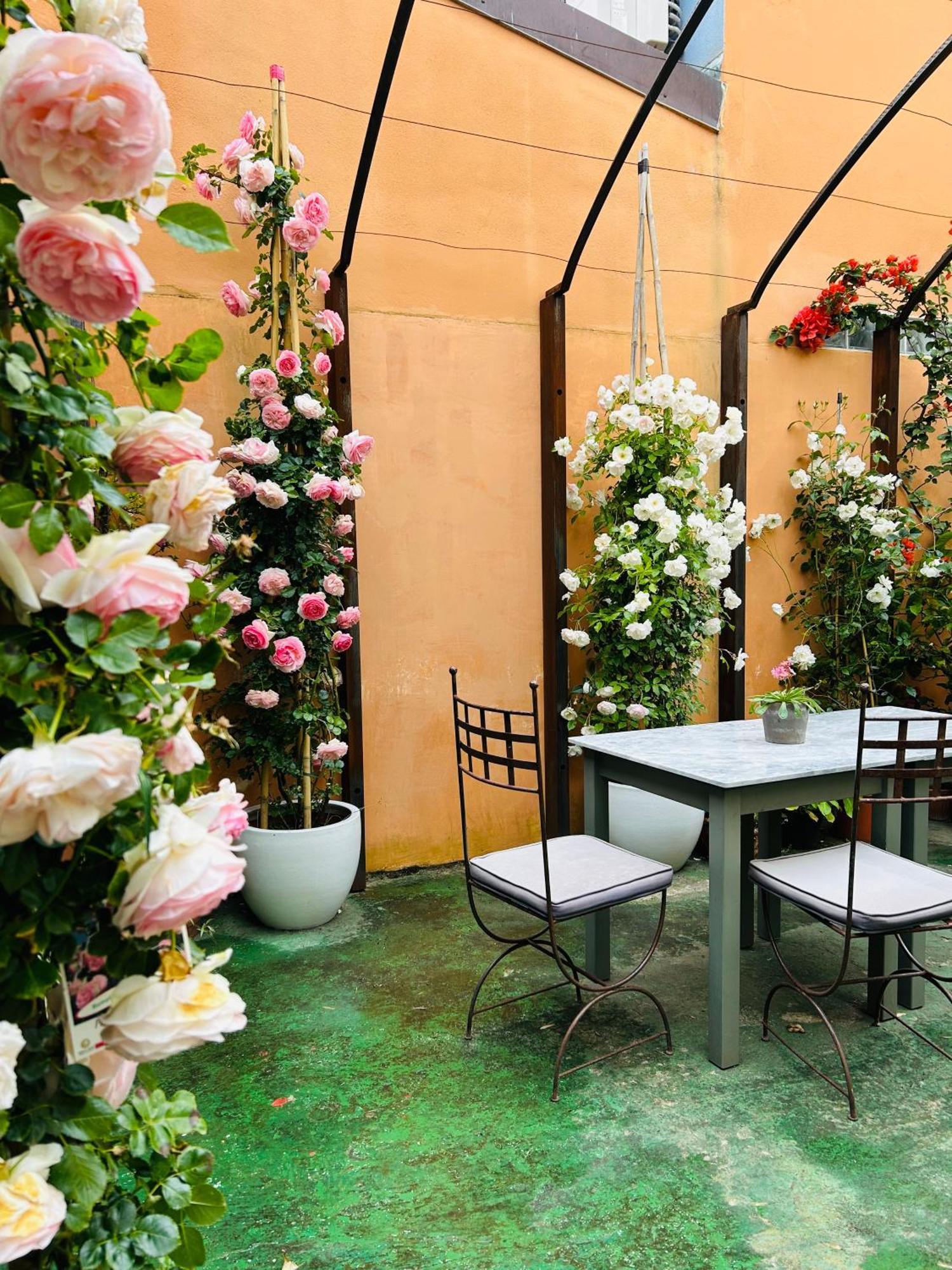 Art Hotel Pietrasanta Extérieur photo